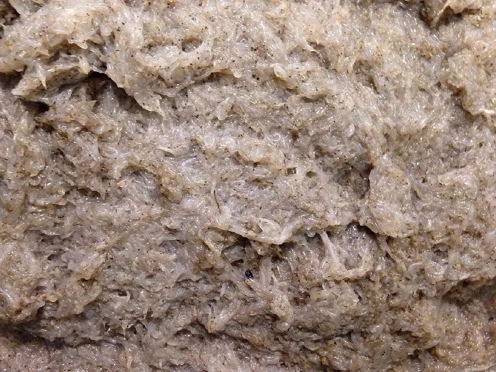 看似虾酱,实则是未经发酵的以糠虾为主体的新鲜浮游生物大杂烩,仔细