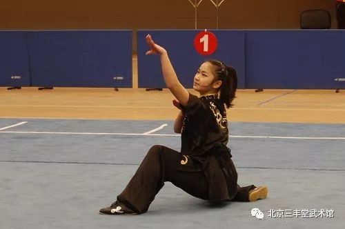 武术的分类_少林拳