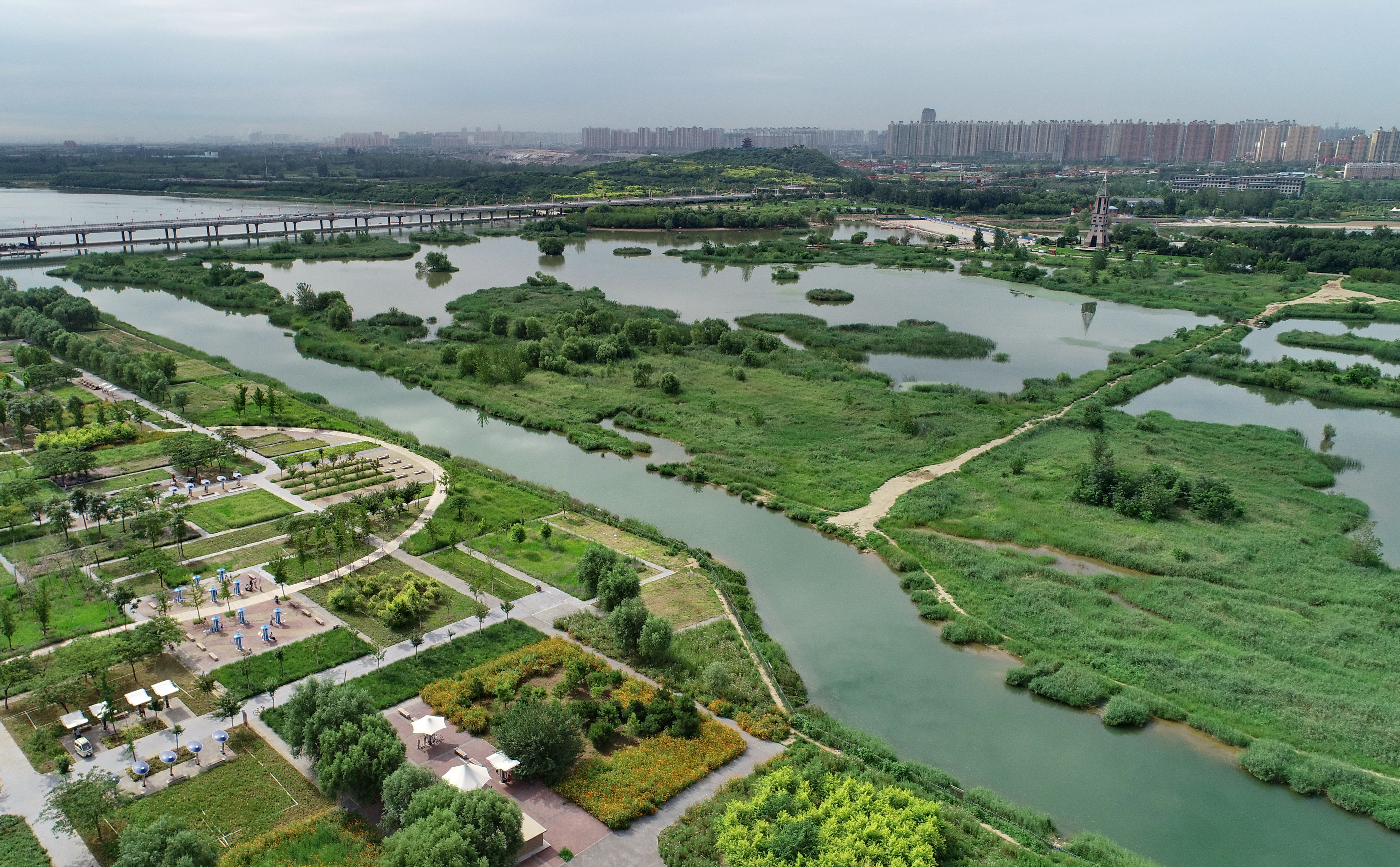 石家庄滹沱河叶子广场图片