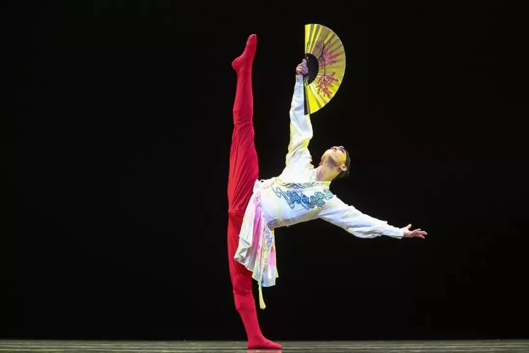 重磅关注精彩纷呈第12届全国桃李杯第一场回顾