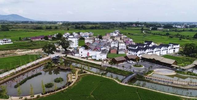 今天,新华社来我大南雄这个村做直播,现面太壮观啦