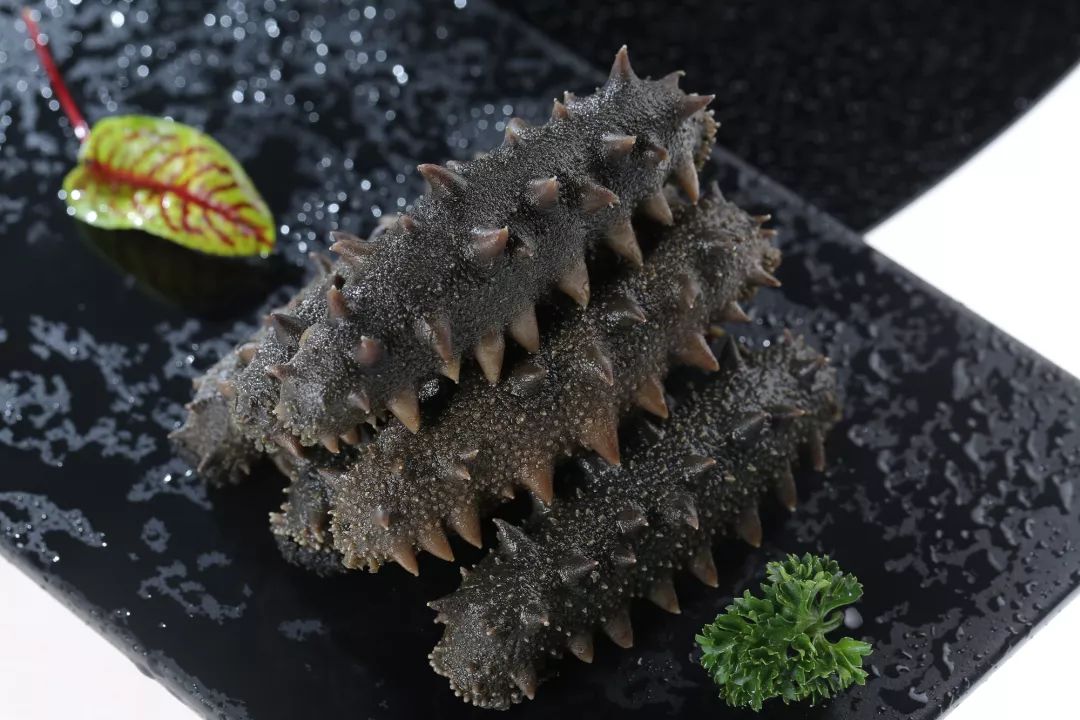 棒棰岛辽参小课堂半干海参发制方法建议收藏