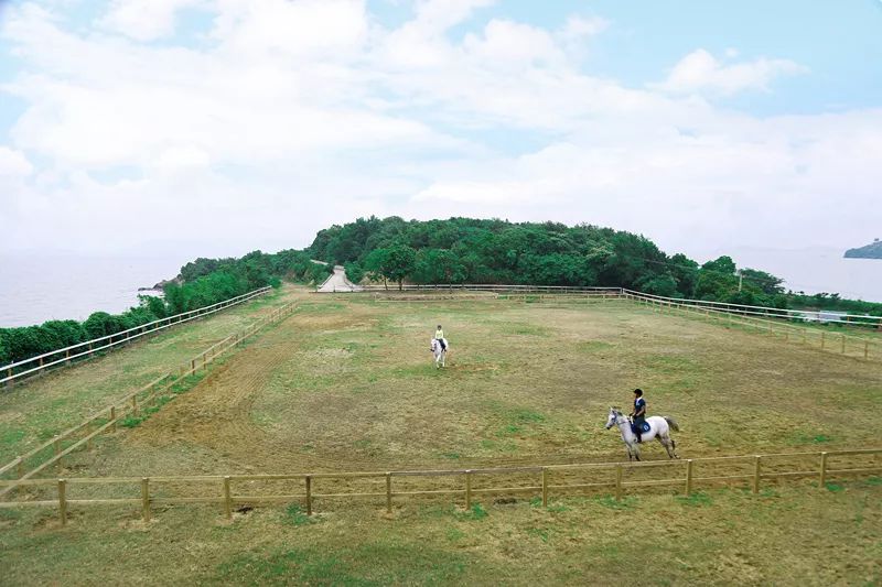 枫露马术营地苏州枫露马术以创建行业内领先马术教学机构为目标以马