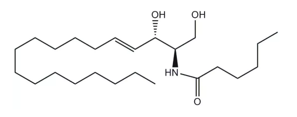 揭秘丨神经酰胺与烟酰胺区别