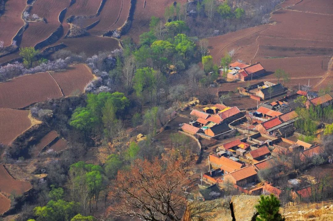 河北创城常态创建杨树岭镇张艳红孝老亲如许丹心照玉壶