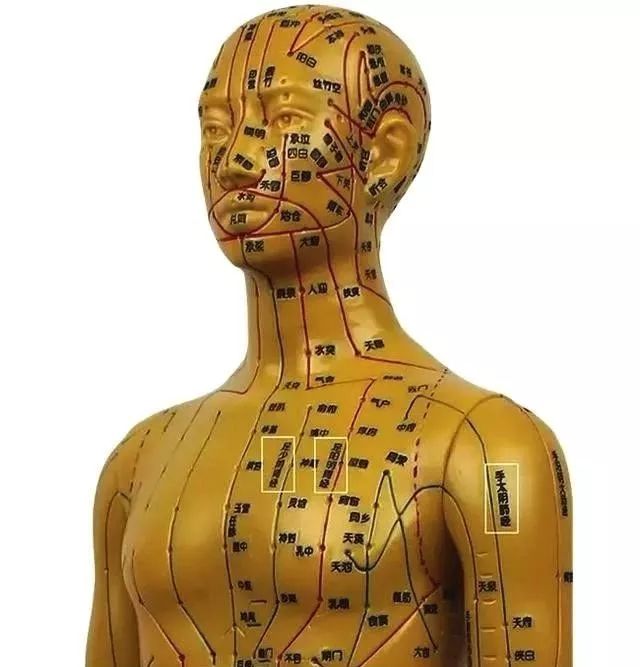 这个地方千万别瞎碰!