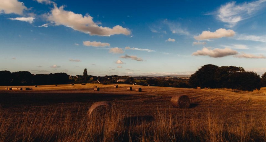 农村家电市场还有多少富矿可挖?厂商各执一词，意见并不统一-家电圈官网