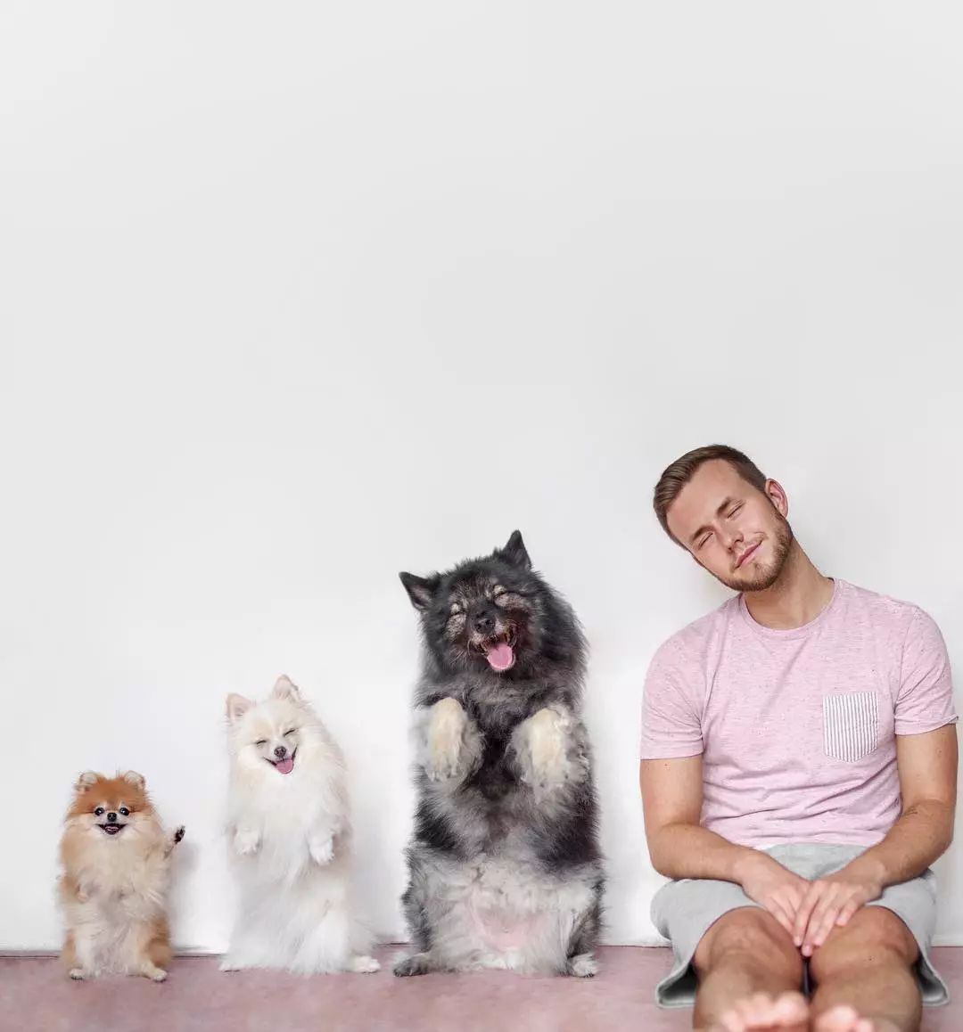 【j·爱宠大机密】狗狗模仿主人拍照惊动网红界,网友:一家子都是戏精!