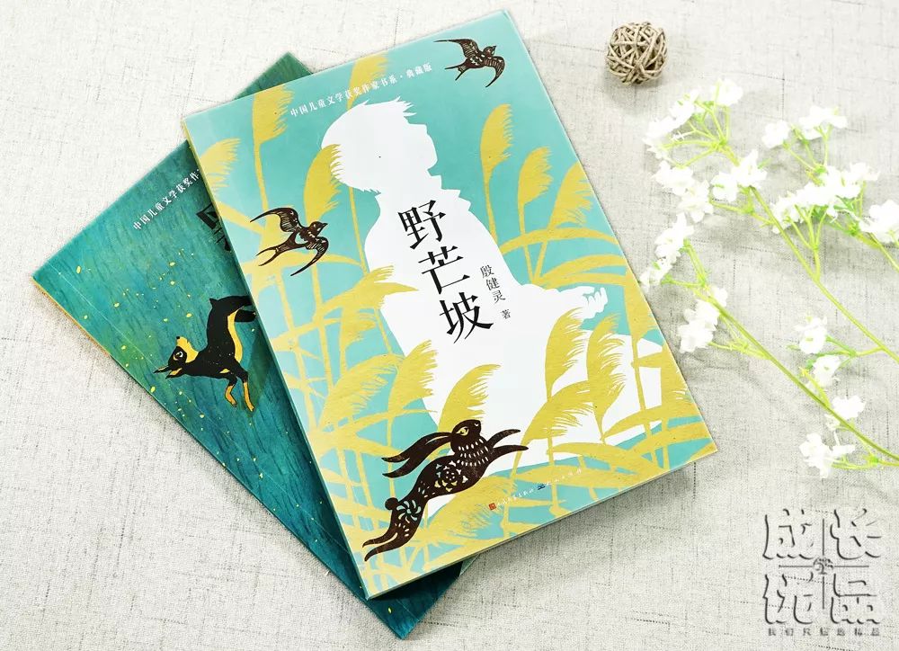 殷健灵老师▲《野芒坡》的作者殷健灵老师,是首届"陈伯吹国际儿童文学