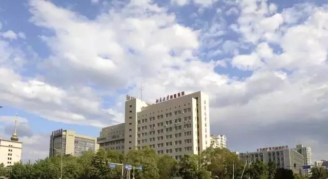 包含北京腫瘤醫院、協助就診黃牛掛號微信，客服24小時在線的詞條