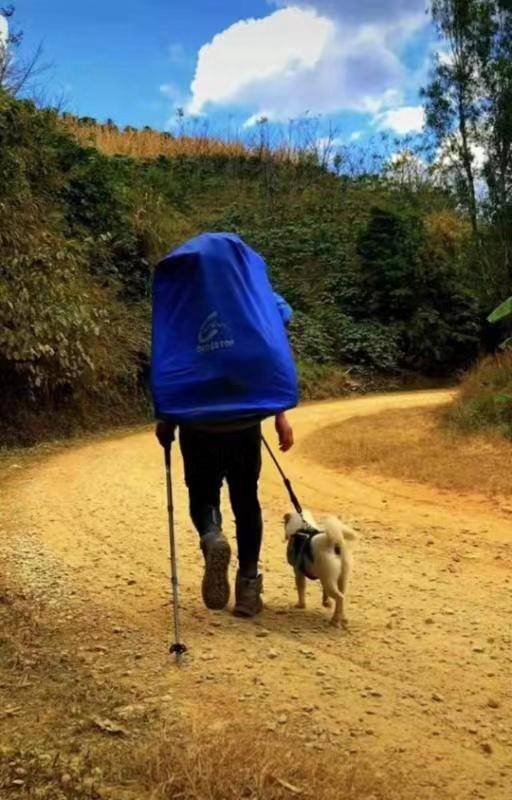 流浪狗"赖"上河北背包客,一人一狗徒步5千多公里!