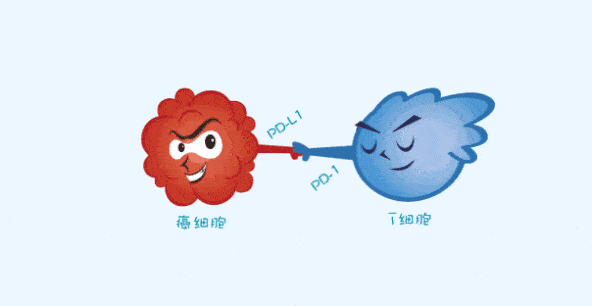 人只要活着就会得癌看免疫力如何大战癌细胞