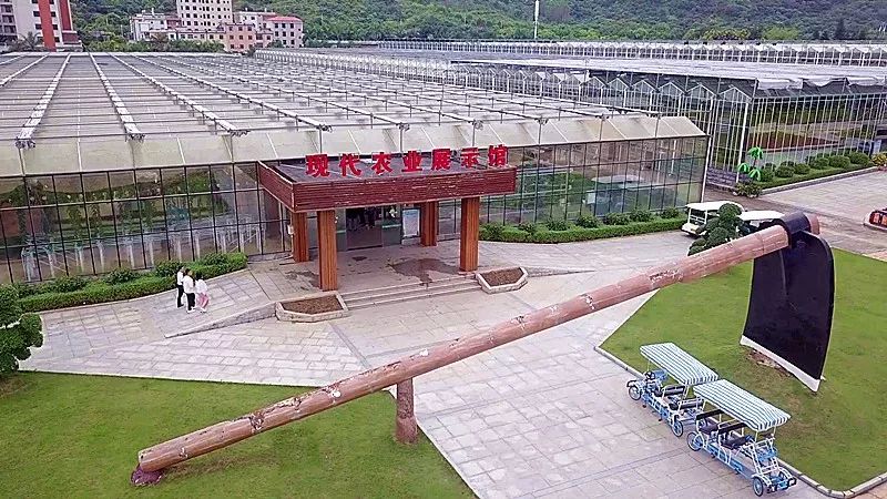 到东南花都的现代农业展示馆来一场采摘之旅吧~在花艺馆观赏蝴蝶兰