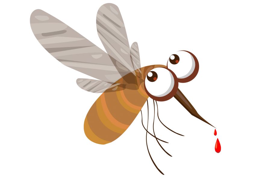 虽微无奈众惟小难防毒警惕蚊虫危害