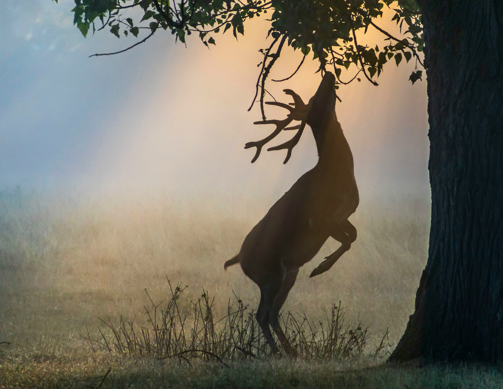 震撼美照:2019"cewe摄影奖"优秀作品
