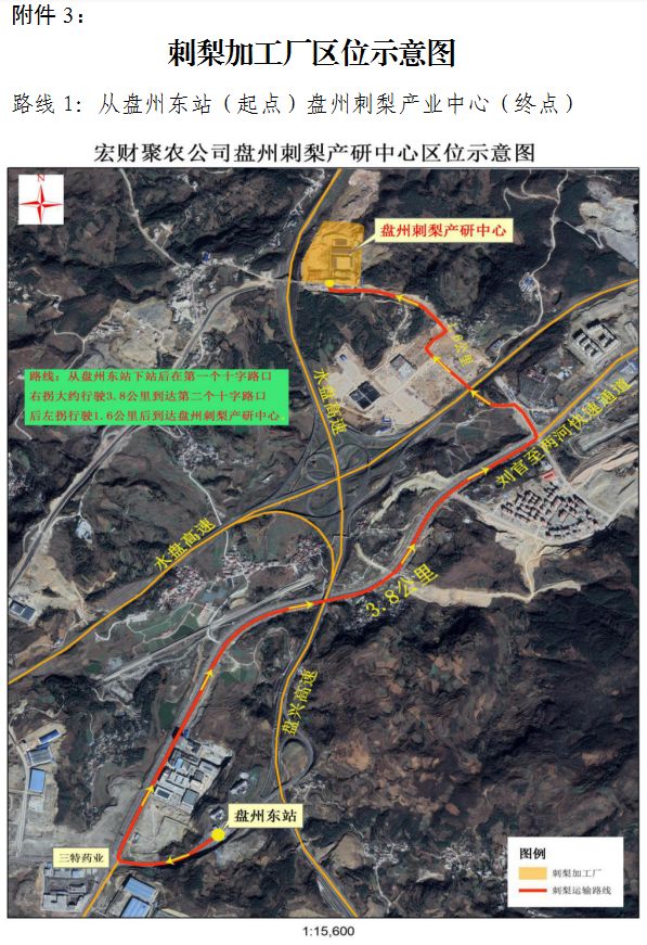 聚焦盘州2019年刺梨鲜果开始收购了