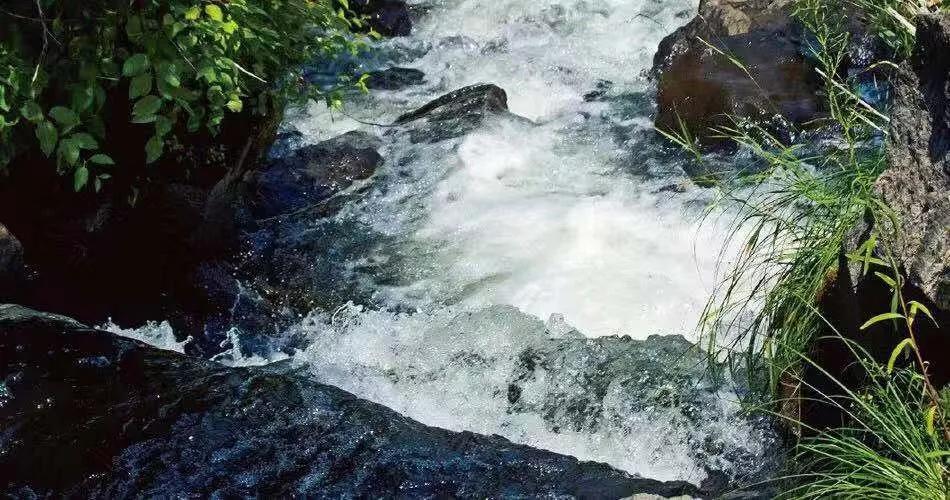 普洱森泉听山下泉声闻山中茶香享地道茶淳