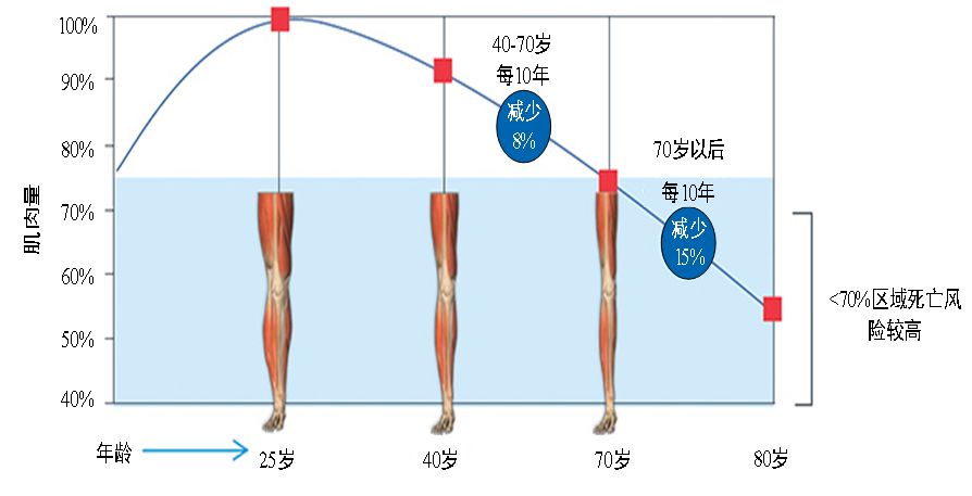 王晓雪身高体重图片