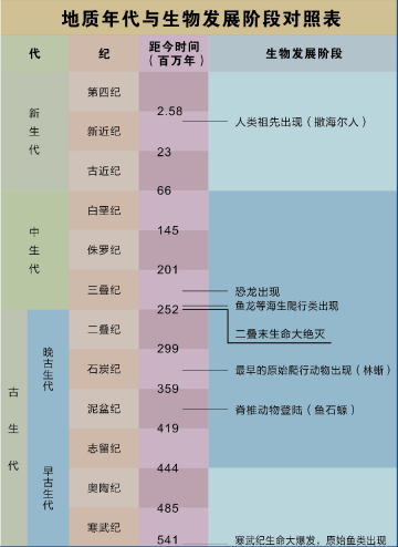 巢湖鱼龙最强科普来啦!