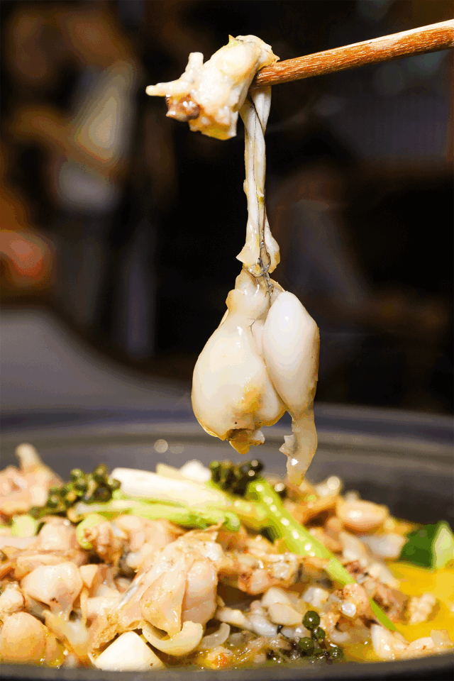 又一家成都排队店来了._牛蛙