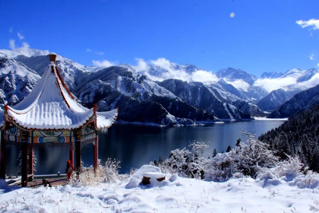 伊犁旅游：四季皆美景，风光无限好