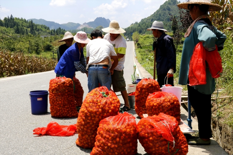 致富门路大全视频(最新的致富门路有哪些)