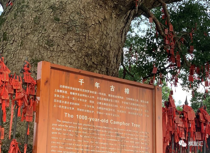 2019象甲从史观今今有安南小镇古有安义古村