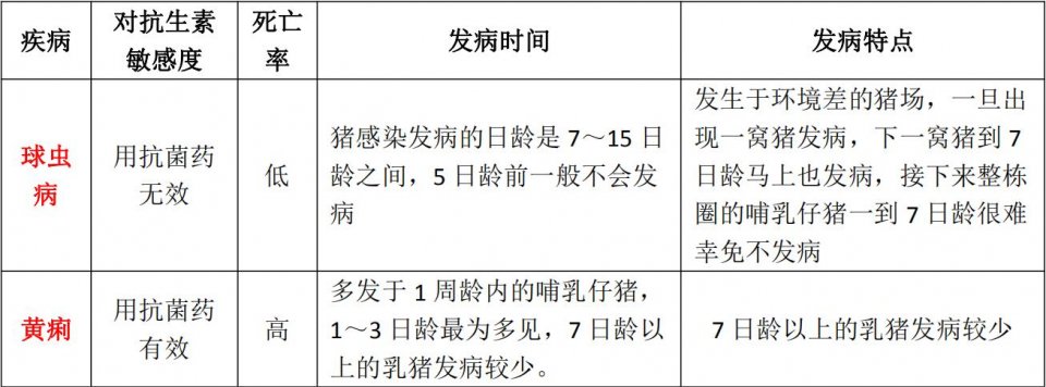 仔猪拉黄色粪便是仔猪黄痢还是仔猪球虫病呢