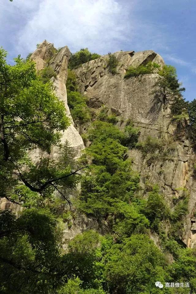 嵩县的杨山你去过吗?