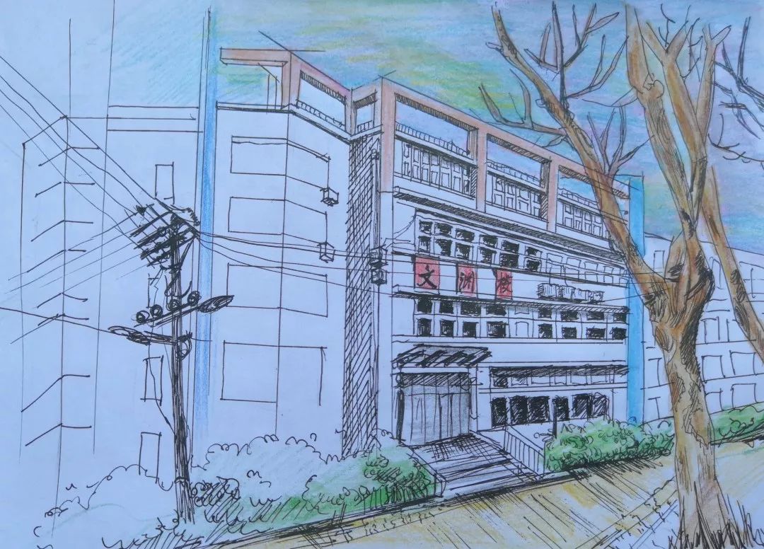 手绘人科你不知道的事