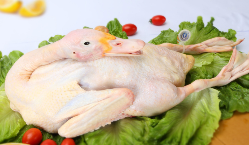 揭秘:农历七月十四,广西和广东的人民为啥要吃鸭?_鸭子