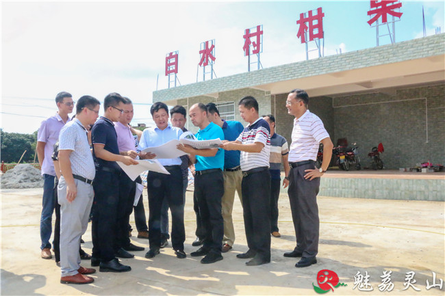 8月13日,灵山县县长刘钦先后来到灵城街道和新圩镇,就乡村振兴工作