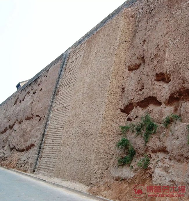 大林木城墙土图片