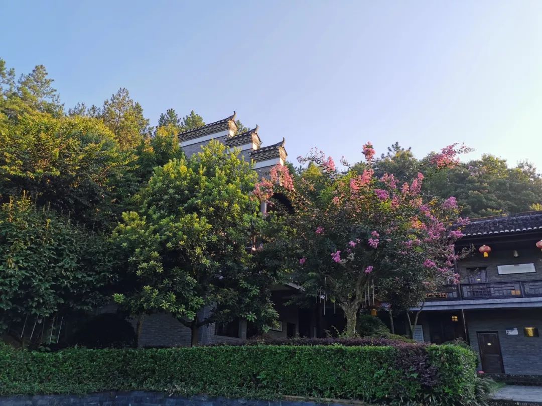 游记避暑吸氧这个园子紫薇花开清风徐来