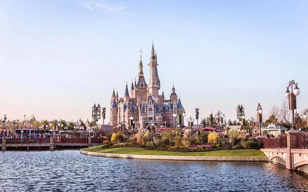 2019年初,上海华东政法大学的大三学生小王在进入上海迪士尼乐园时因