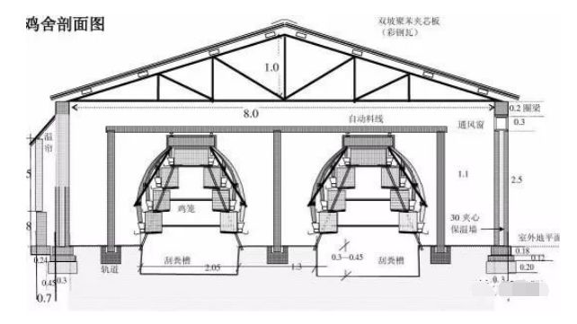 鸡也需要良好的生活环境