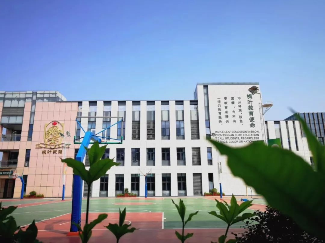 枫叶国际学校跟公立学校不接轨今后必须出国这是对枫叶最大的误解
