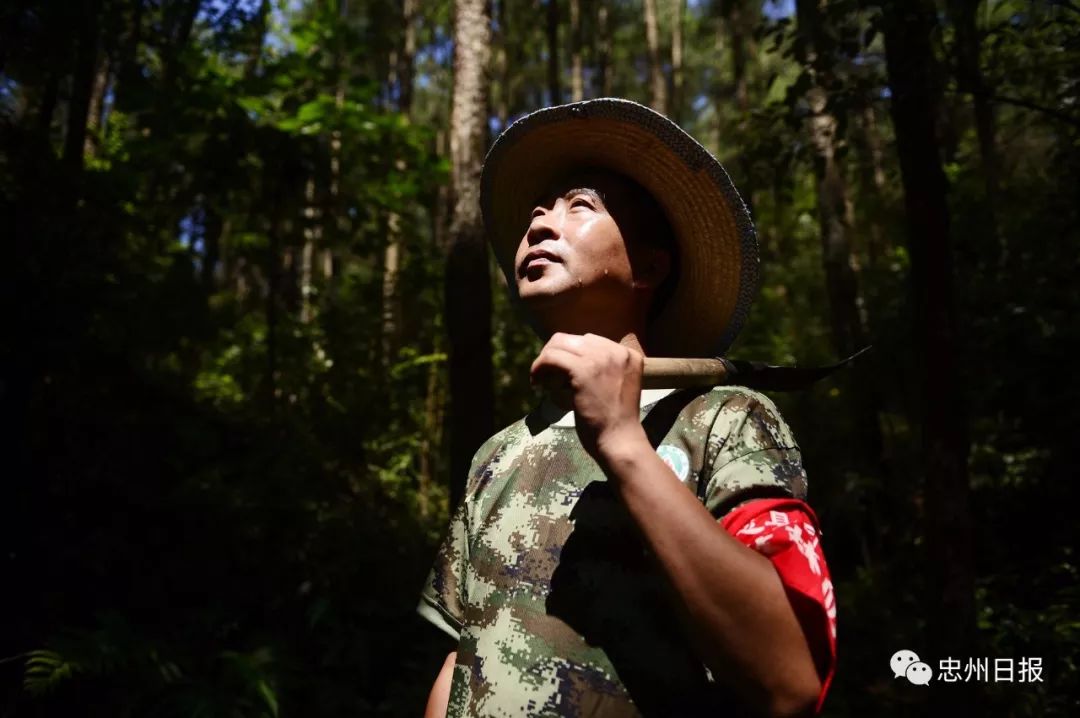 护林员宣讲员安检员他到底是谁