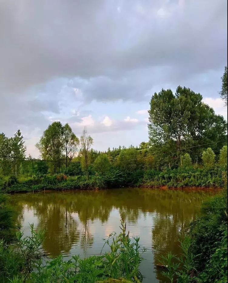 初秋相约来鹿走沟郊野公园吧你的散步计划怎能少了这