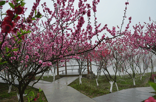 500_330gif 动态图 动图