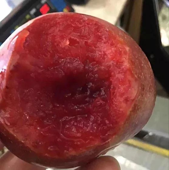 团购| 福建南屏芙蓉红心李:肉厚核小,汁多味甜,松脆爽口,美味别错过!