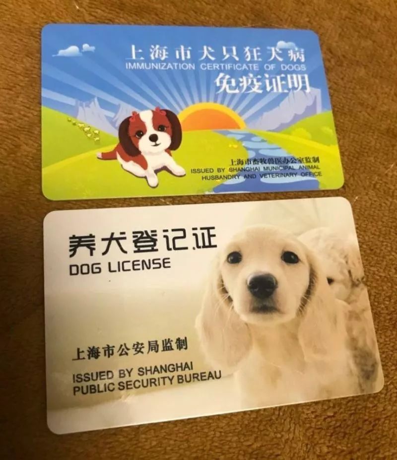 上海公安机关查获一起违法办理养犬登记证案件