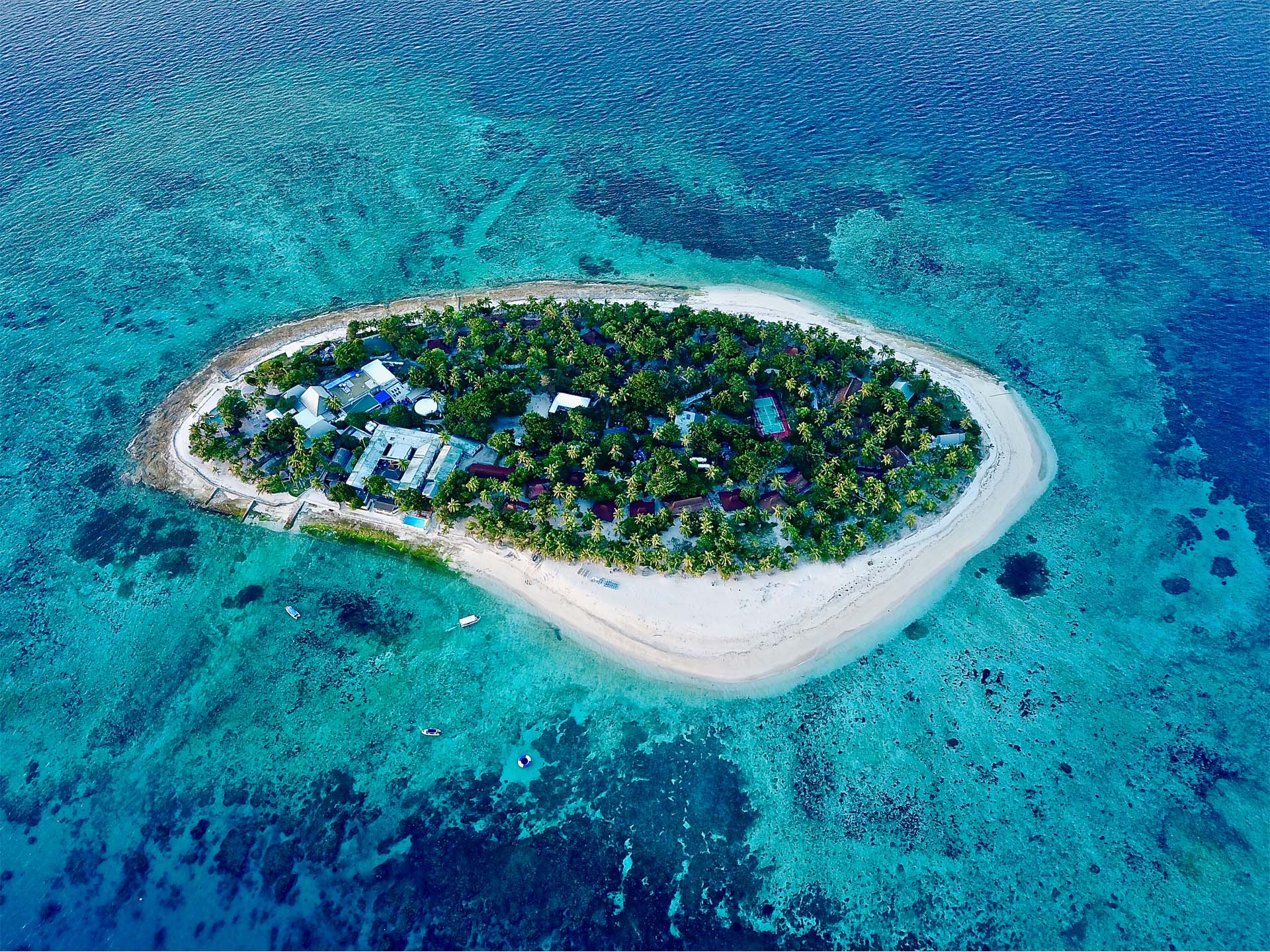 斐济金银岛度假村 treasure island resort - fiji