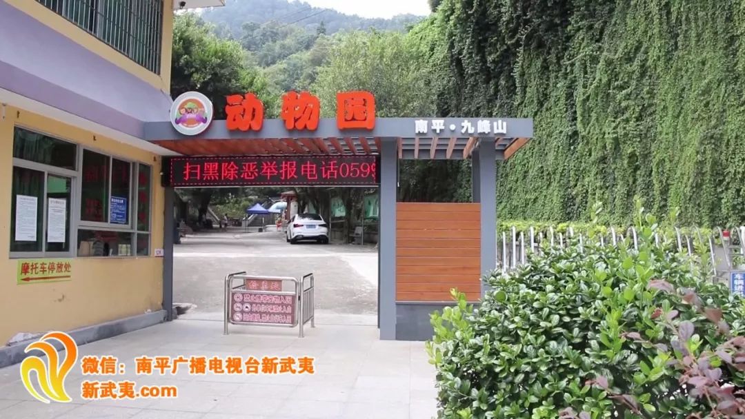 九峰山这只虎妈妈生崽险破世界记录_动物园