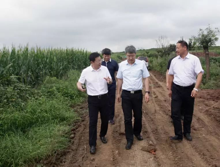 彭建國一行先後來到西莊村,前孟格莊村,毛家埠中村,宋村,中由格莊村等