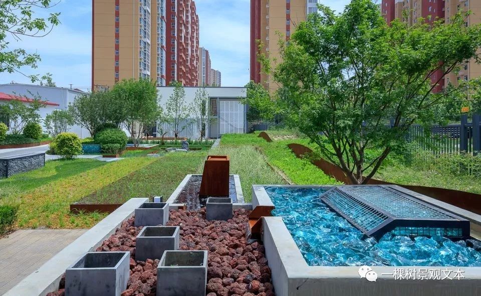 雨水花园案例综合篇