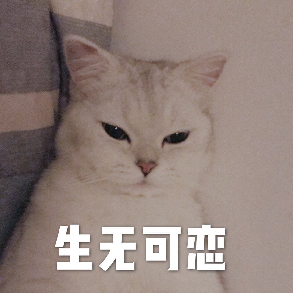 让文档转换格式时确保文件内容格式不变形