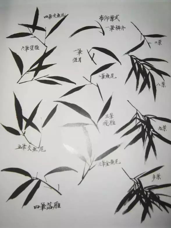 国画教程竹子的写意画法教程分分钟学会