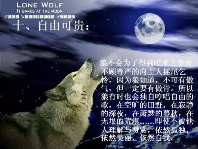 狼道精神十大经典原则