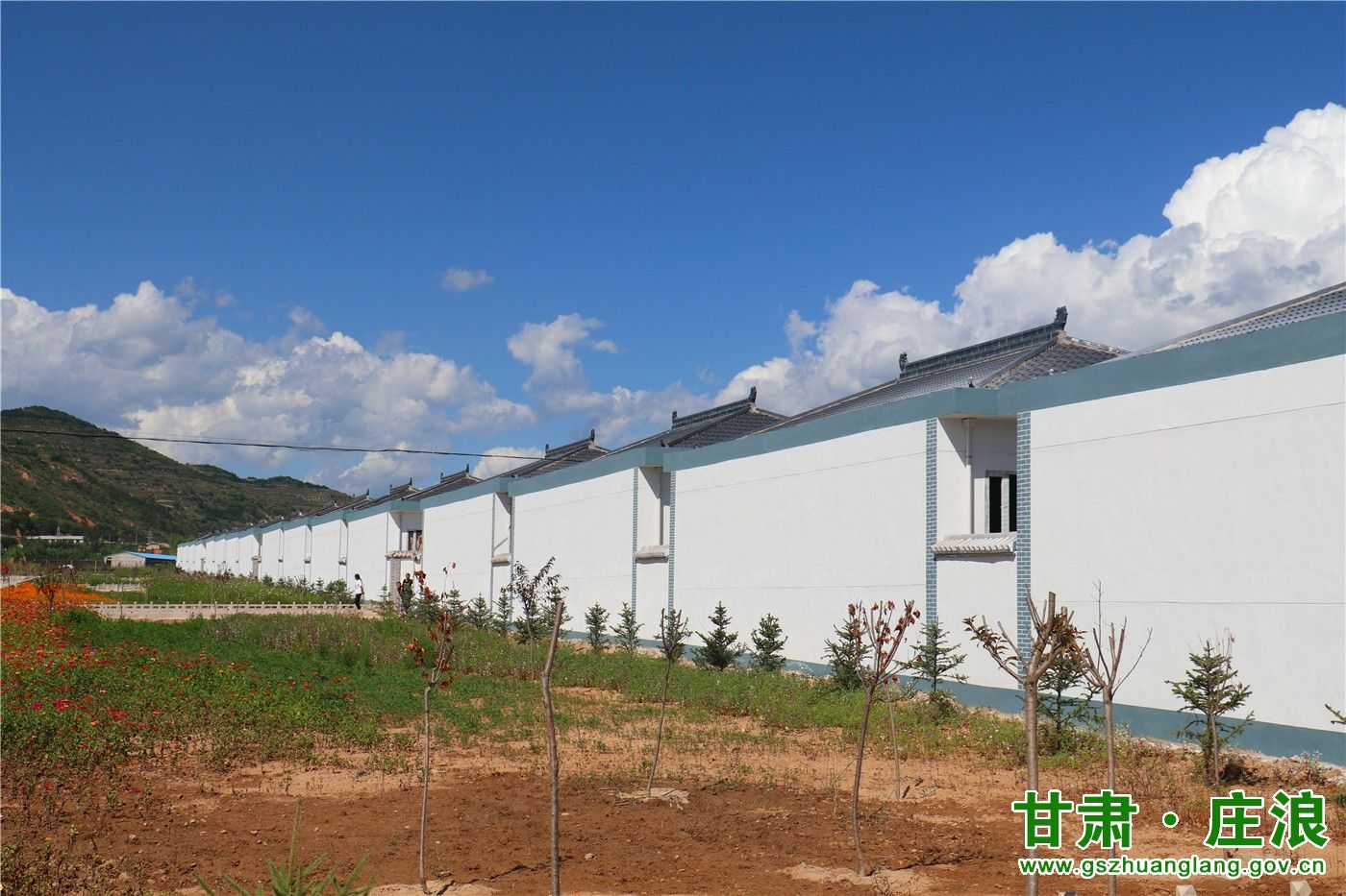 庄浪县2019年全县重点工作现场观摩督查考核第二组掠影一